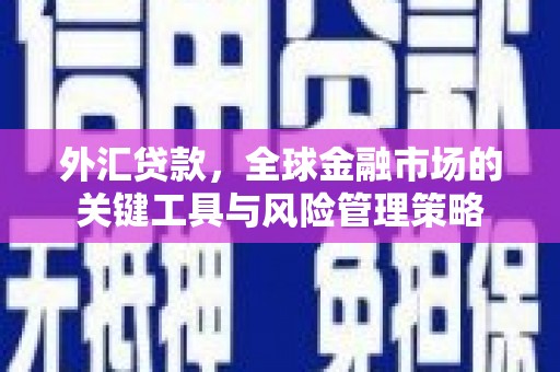 八公山外汇贷款，全球金融市场的关键工具与风险管理策略