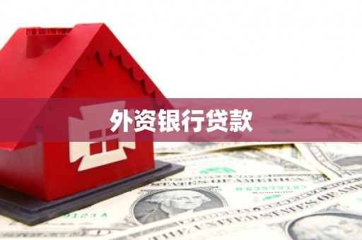八公山外资银行贷款