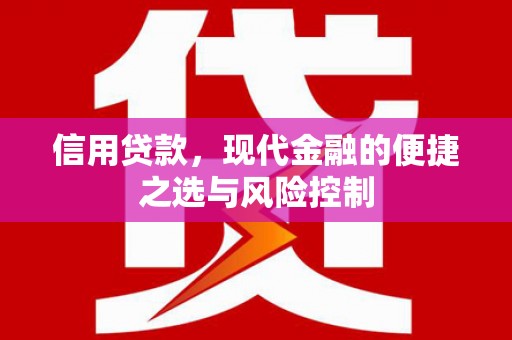 八公山信用贷款，现代金融的便捷之选与风险控制