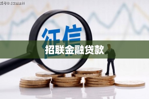 八公山招联金融贷款