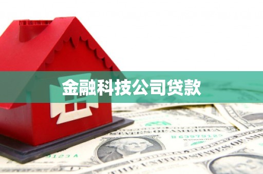 八公山金融科技公司贷款