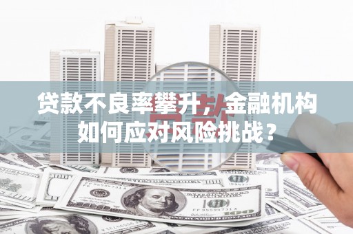 八公山贷款不良率攀升，金融机构如何应对风险挑战？