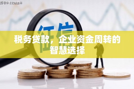八公山税务贷款，企业资金周转的智慧选择