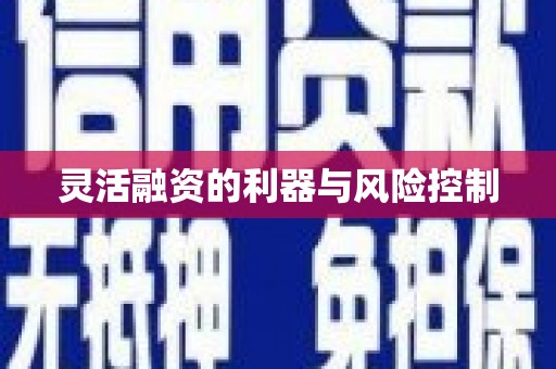 八公山灵活融资的利器与风险控制