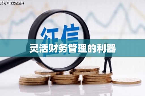 八公山灵活财务管理的利器