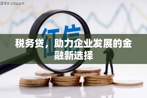 八公山税务贷，助力企业发展的金融新选择