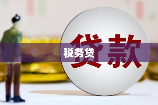 八公山税务贷
