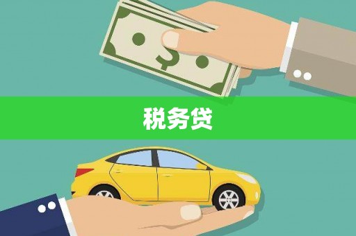 八公山税务贷