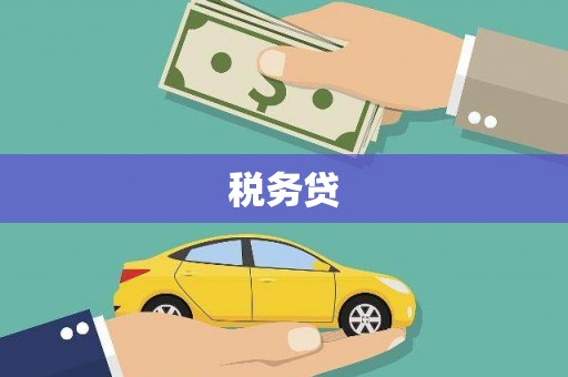 八公山税务贷