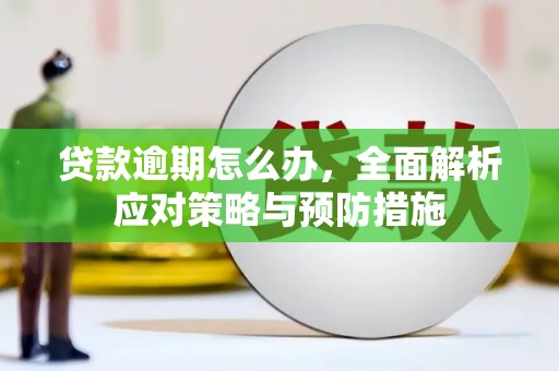 八公山贷款逾期怎么办，全面解析应对策略与预防措施