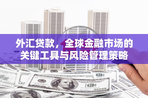八公山外汇贷款，全球金融市场的关键工具与风险管理策略