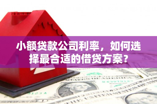 八公山小额贷款公司利率，如何选择最合适的借贷方案？