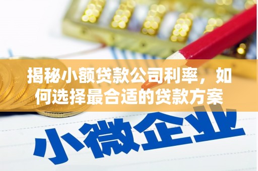 八公山揭秘小额贷款公司利率，如何选择最合适的贷款方案