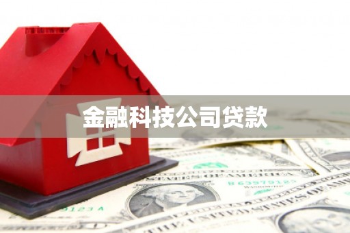 八公山金融科技公司贷款