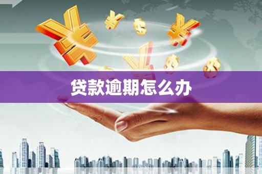 八公山贷款逾期怎么办