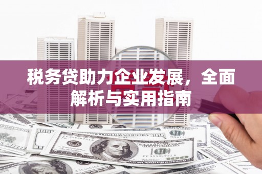 八公山税务贷助力企业发展，全面解析与实用指南