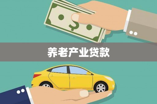 八公山养老产业贷款