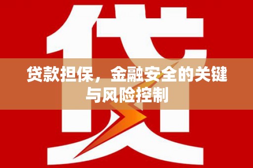 八公山贷款担保，金融安全的关键与风险控制