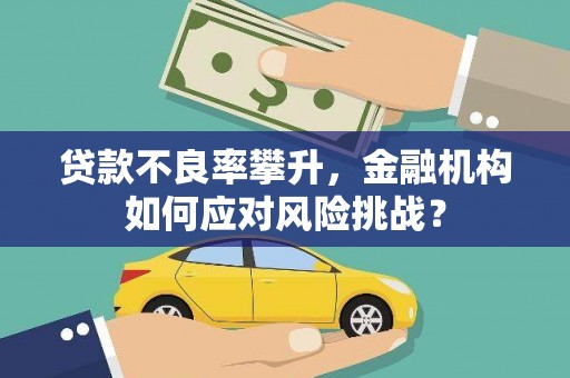 八公山贷款不良率攀升，金融机构如何应对风险挑战？