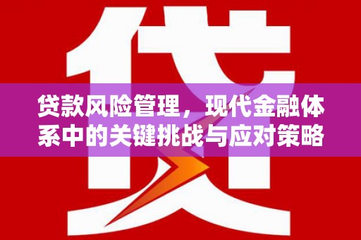 八公山贷款风险管理，现代金融体系中的关键挑战与应对策略