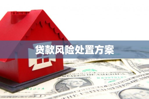 八公山贷款风险处置方案