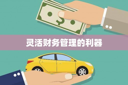 八公山灵活财务管理的利器