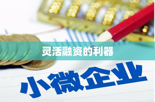 八公山灵活融资的利器