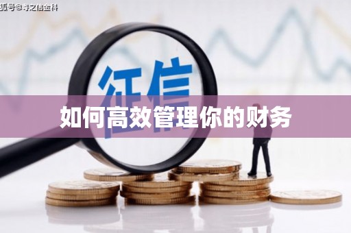 八公山如何高效管理你的财务
