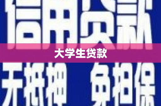 八公山大学生贷款