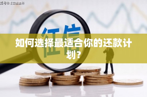 八公山如何选择最适合你的还款计划？