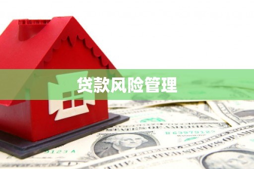 八公山贷款风险管理